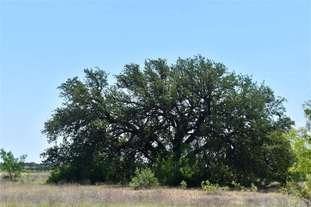 Rochelle, TX 76872,8228 US HWY 377