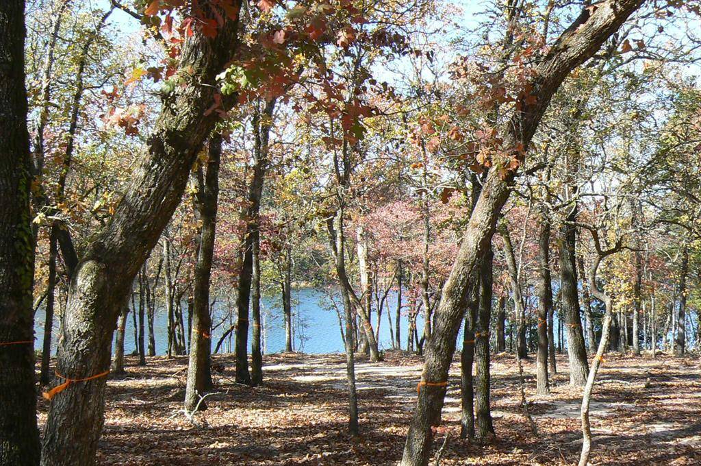 Larue, TX 75770,9122 Safari Bluff
