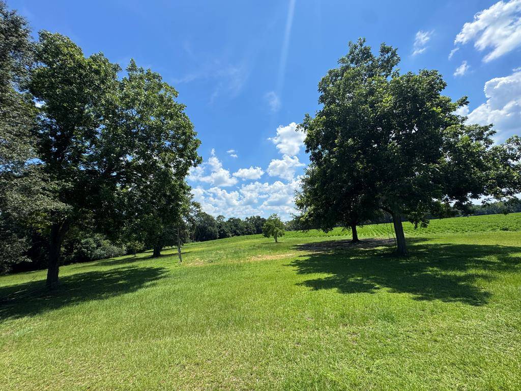 7001 Co Rd 203, Dothan, AL 36301