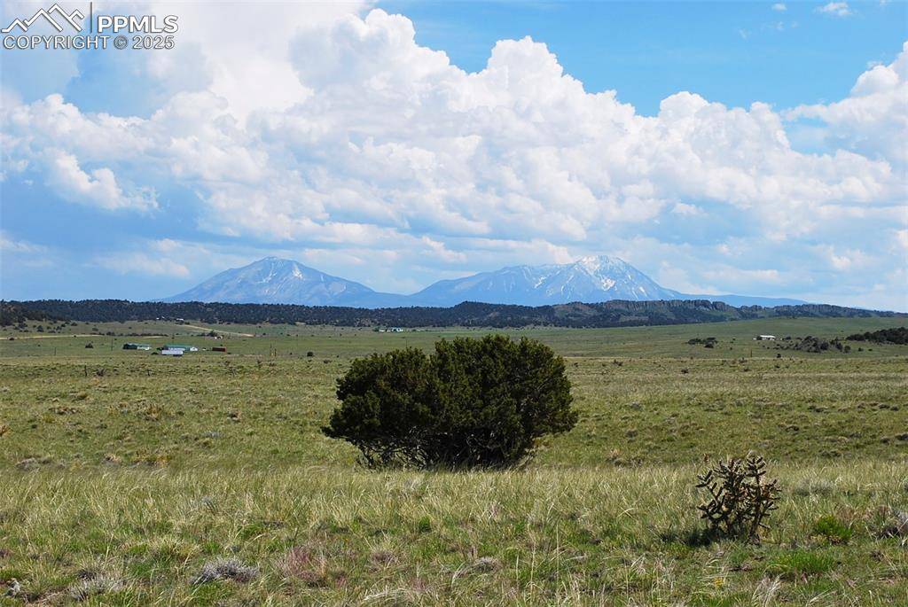 Walsenburg, CO 81089,#211 County Road 520