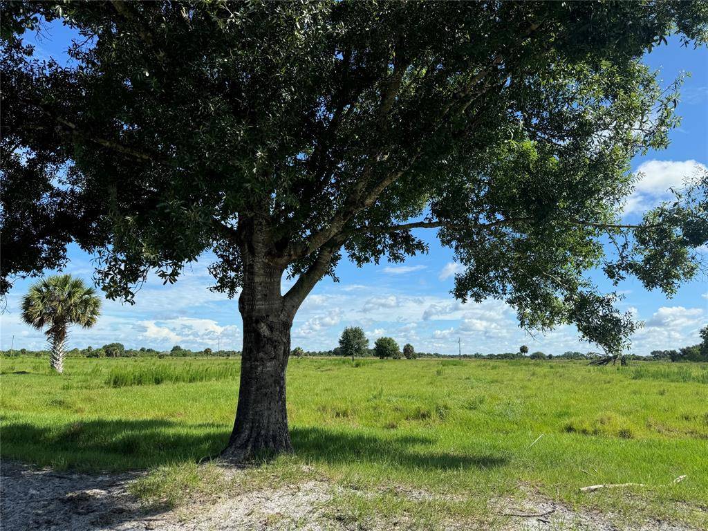 18025 NW 260th St, Basinger, FL 34972
