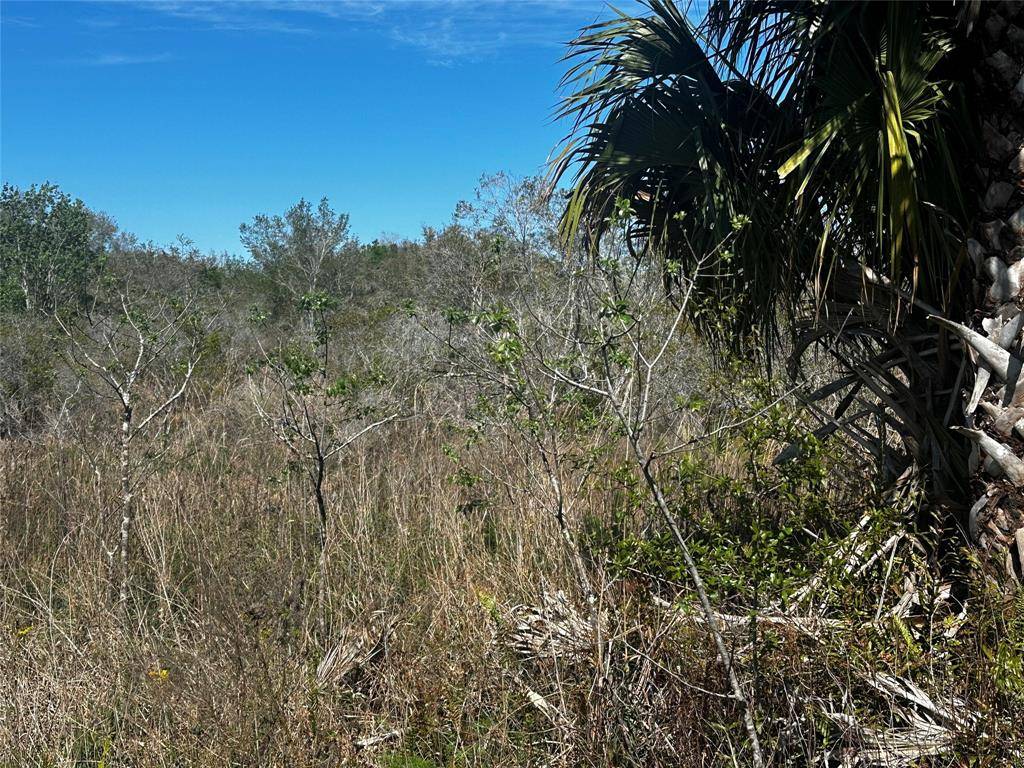 Okeechobee, FL 34972,19093 NW 302nd St