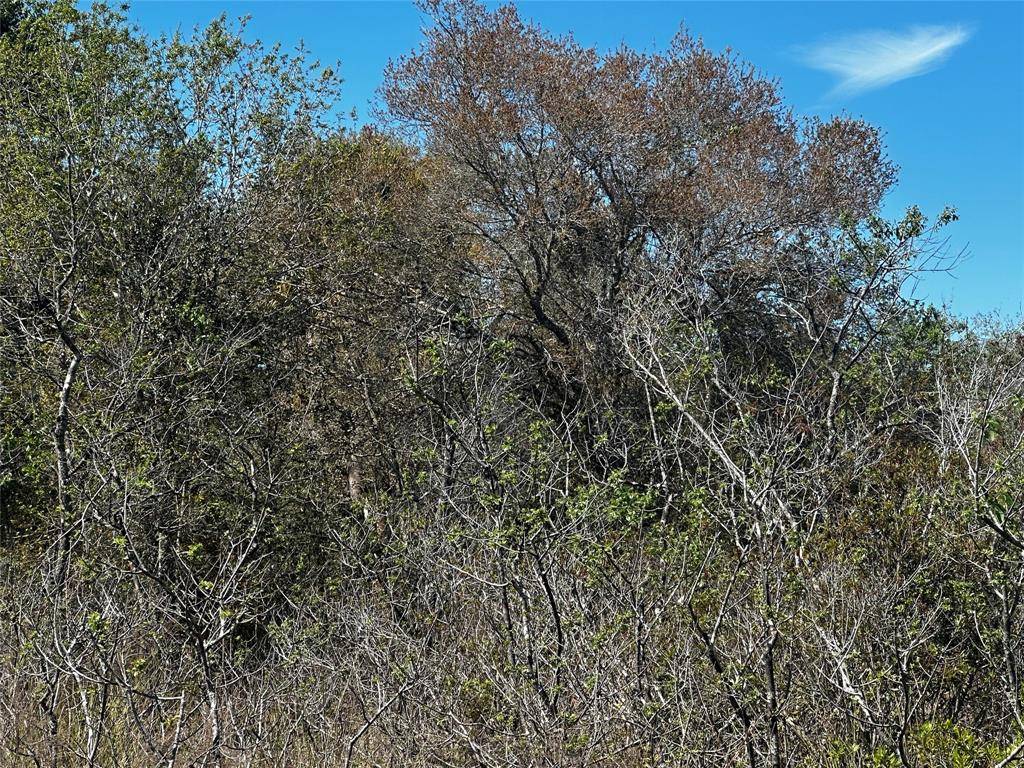Okeechobee, FL 34972,19093 NW 302nd St