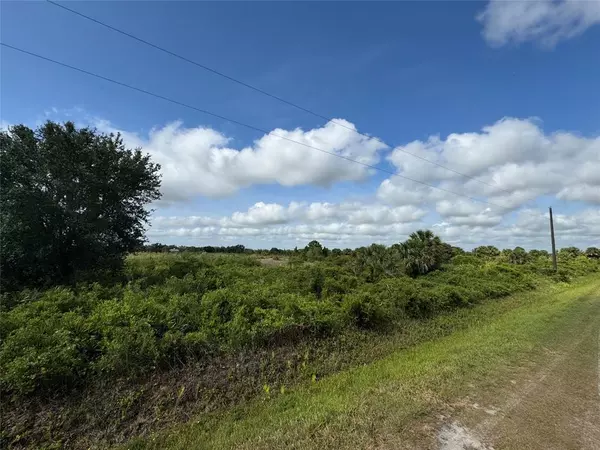 Basinger, FL 34972,21434 NW 278th St