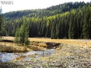 Union, OR 97883,300 Catherine Crk Meadow #1