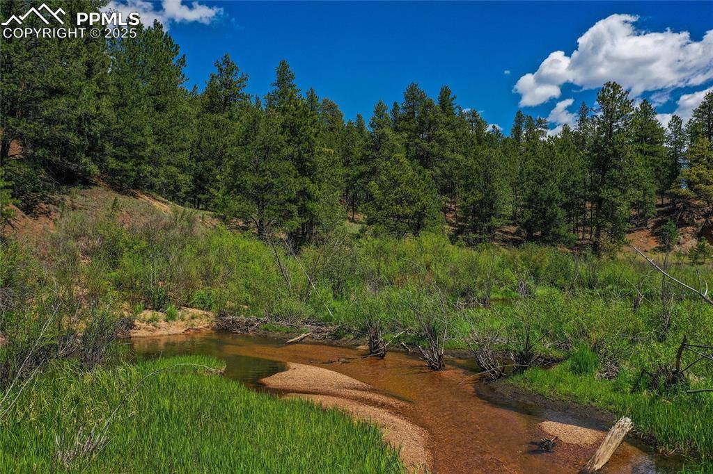 Woodland Park, CO 80863,29545 Highway 67