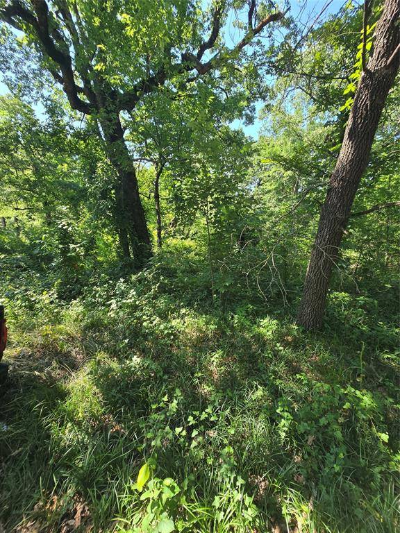 Payne Springs, TX 75156,00 Nina Street
