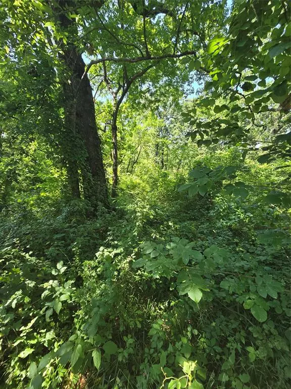Payne Springs, TX 75156,00 Nina Street