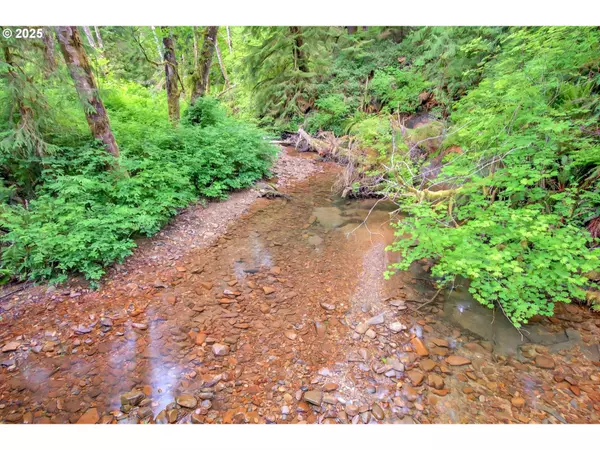 3 Parpala RD #3, Naselle, WA 98638