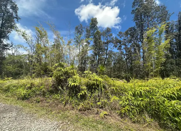 Kurtistown, HI 96760,ROAD 5 (UAU)