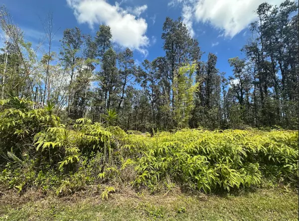 Kurtistown, HI 96760,ROAD 5 (UAU)