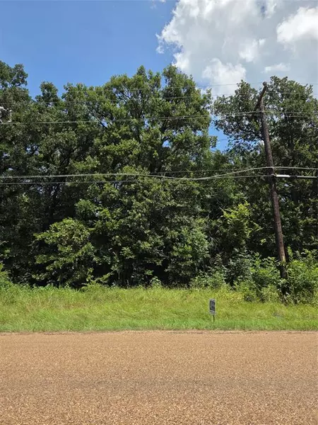 0 Double Bridge Road, Mabank, TX 75156