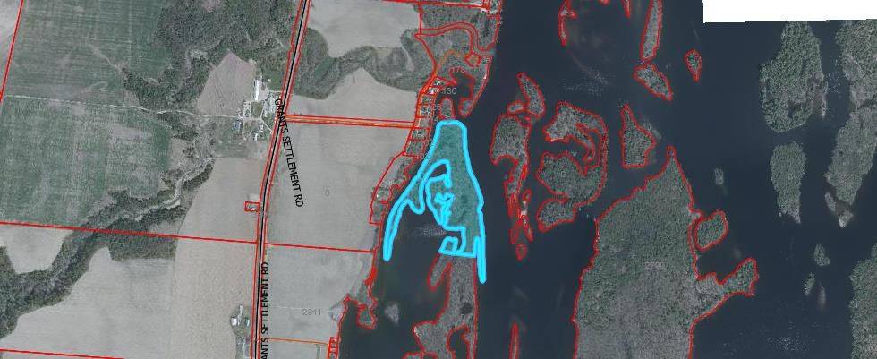 Whitewater Region, ON K0J 1C0,0 BUTTERNUT IS