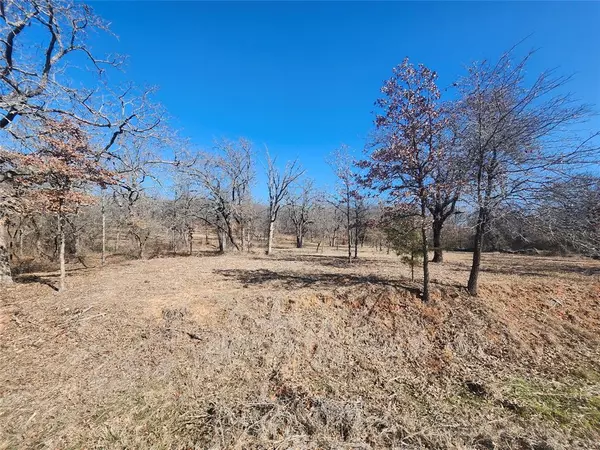 Nocona, TX 76255,259 Comanche Trail