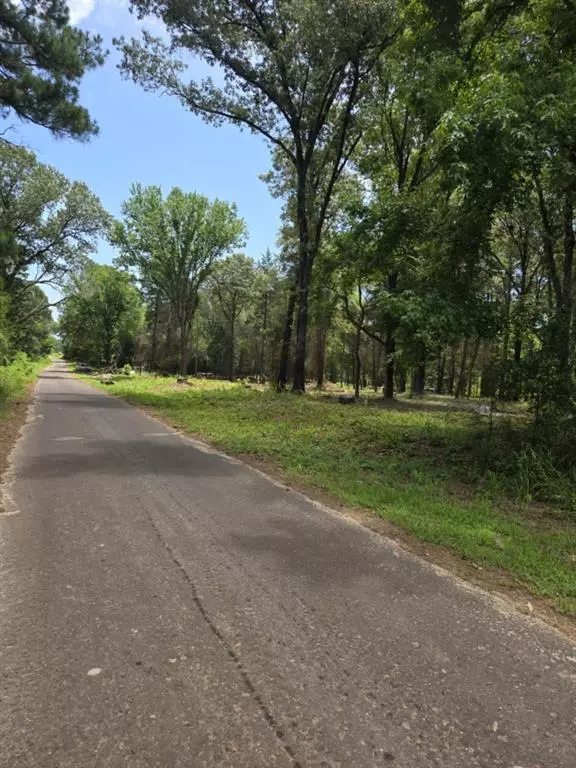 1 VZ County Road 4700, Ben Wheeler, TX 75754