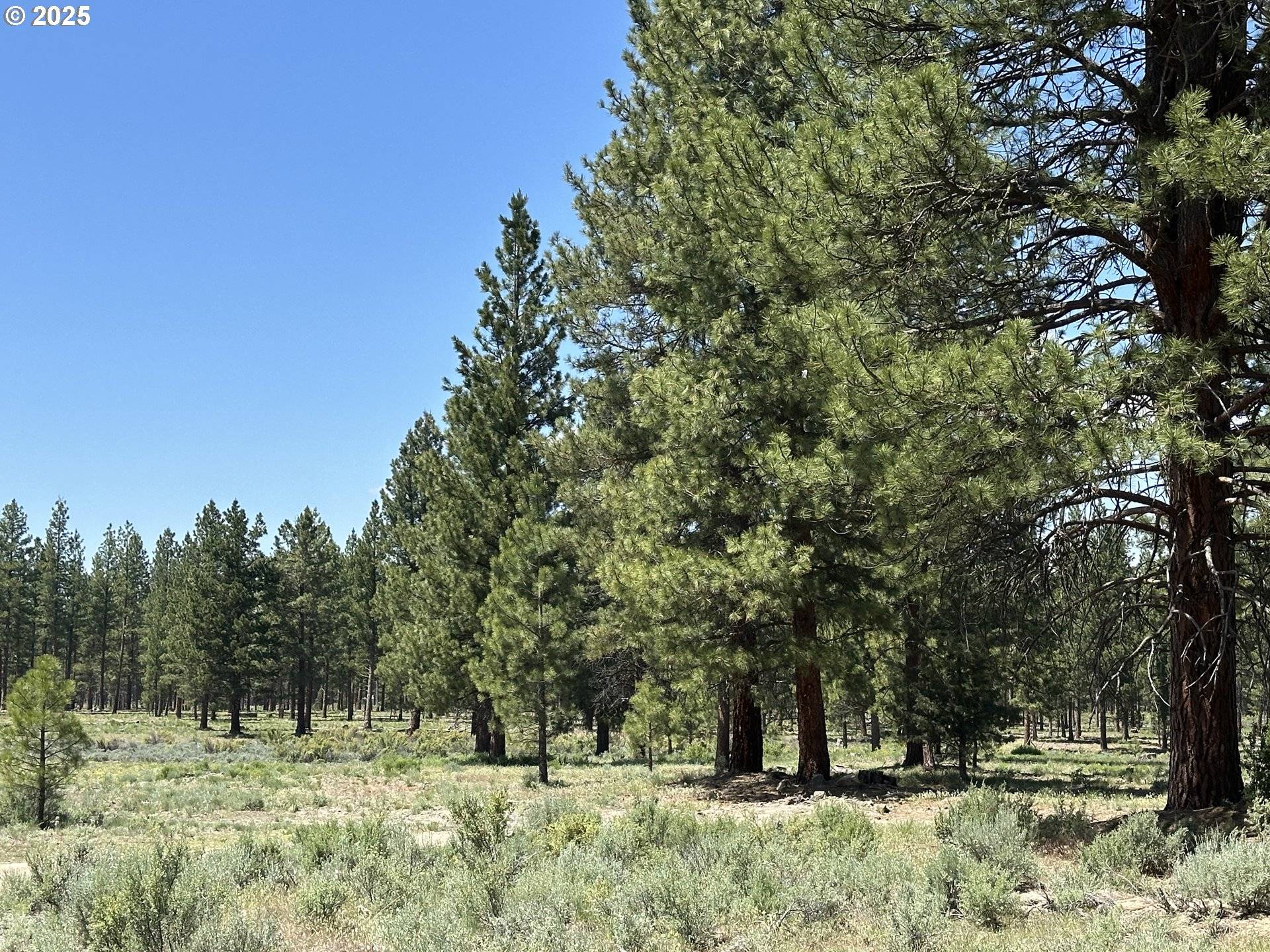 Sprague River RD, Chiloquin, OR 97624