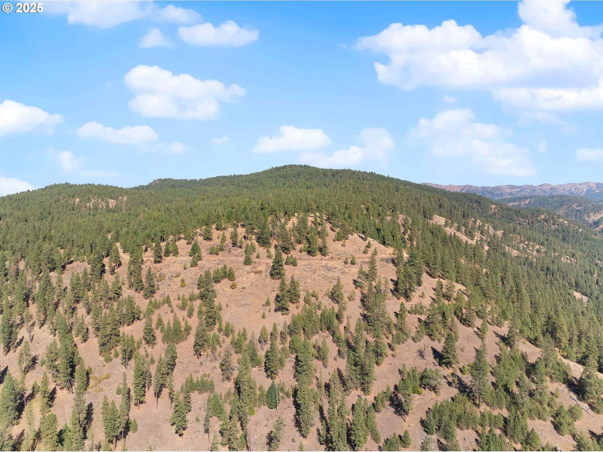 Union, OR 97883,1701 Catherine Creek Lane