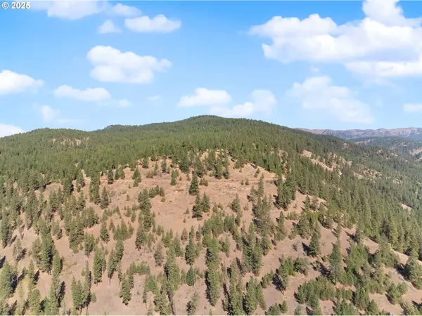 Union, OR 97883,1701 Catherine Creek Lane