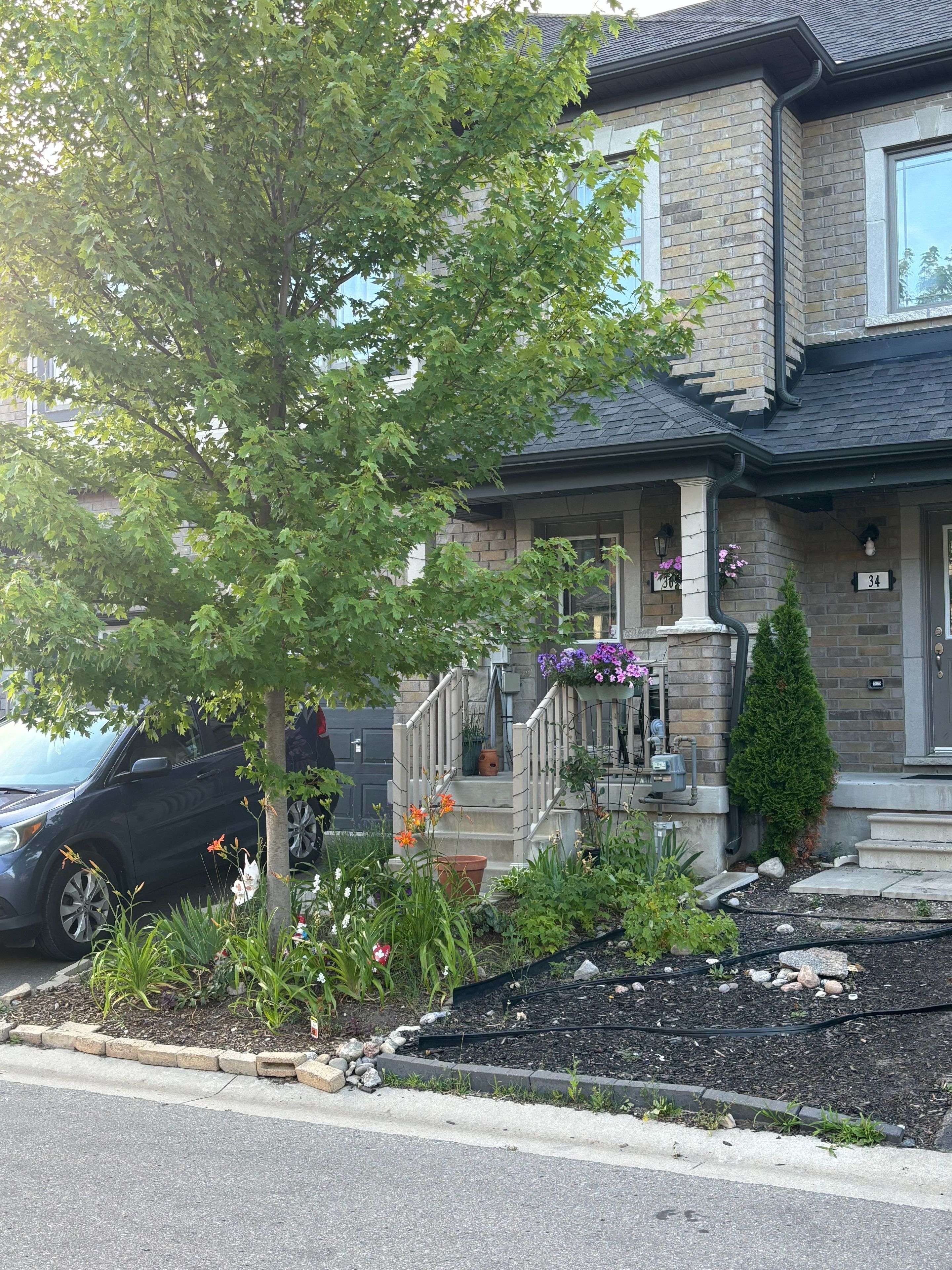 36 Deneb ST, Barrie, ON L4M 0K6
