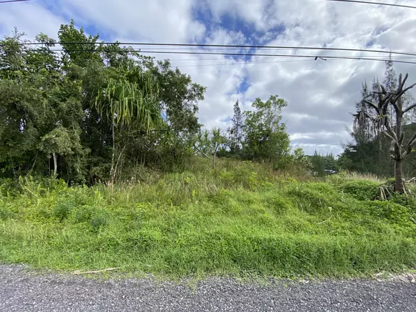 Keaau, HI 96749,15-1969 BEACH RD