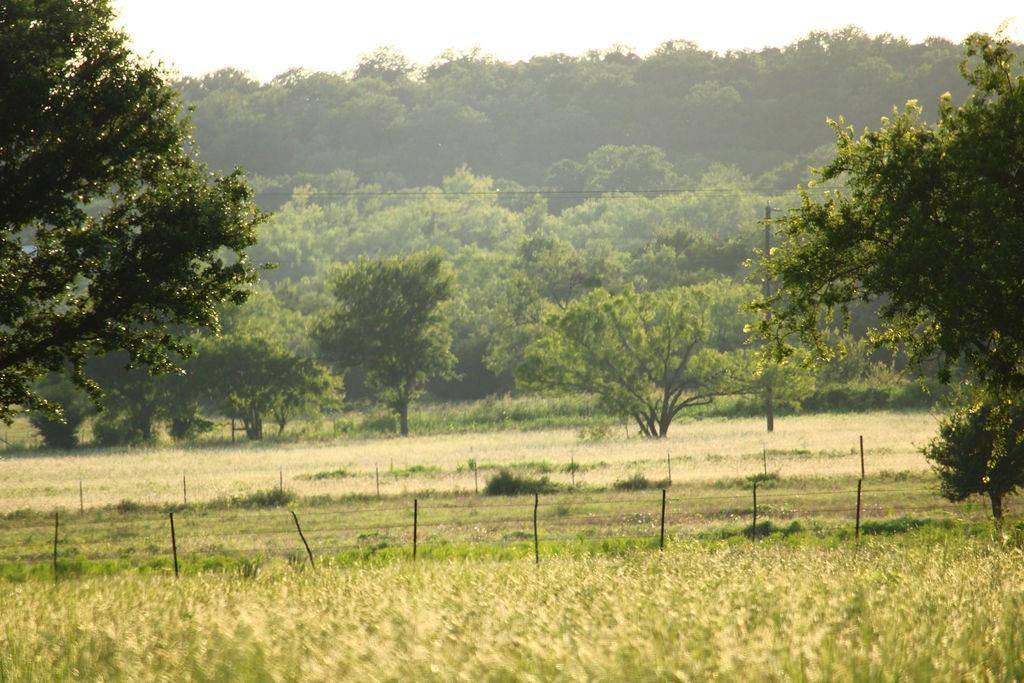 Mineral Wells, TX 76067,T B D HAYES Road