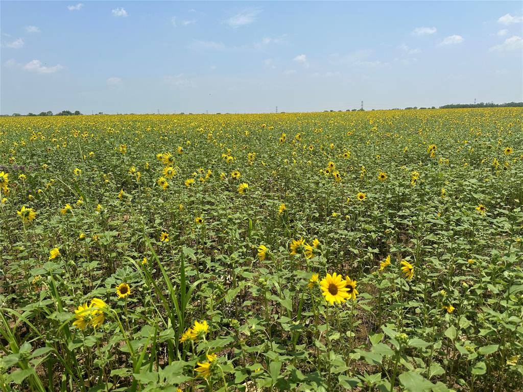 Gouldbusk, TX 76845,1434 CR 313