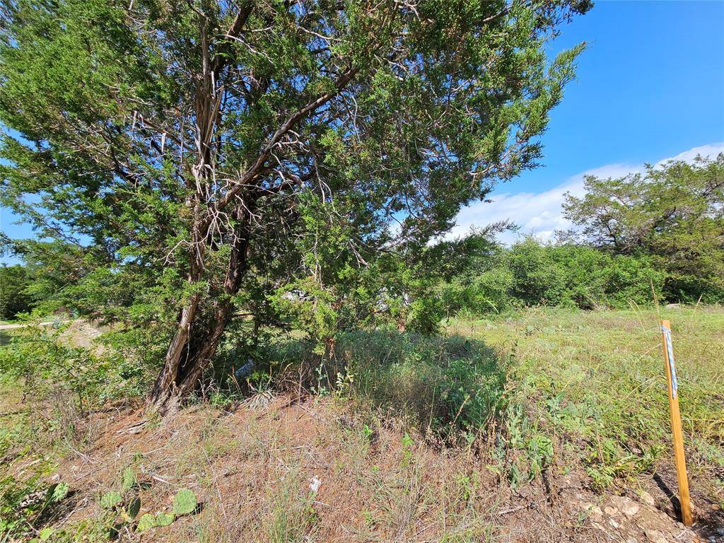 Weatherford, TX 76087,TBD Lakeview Trail