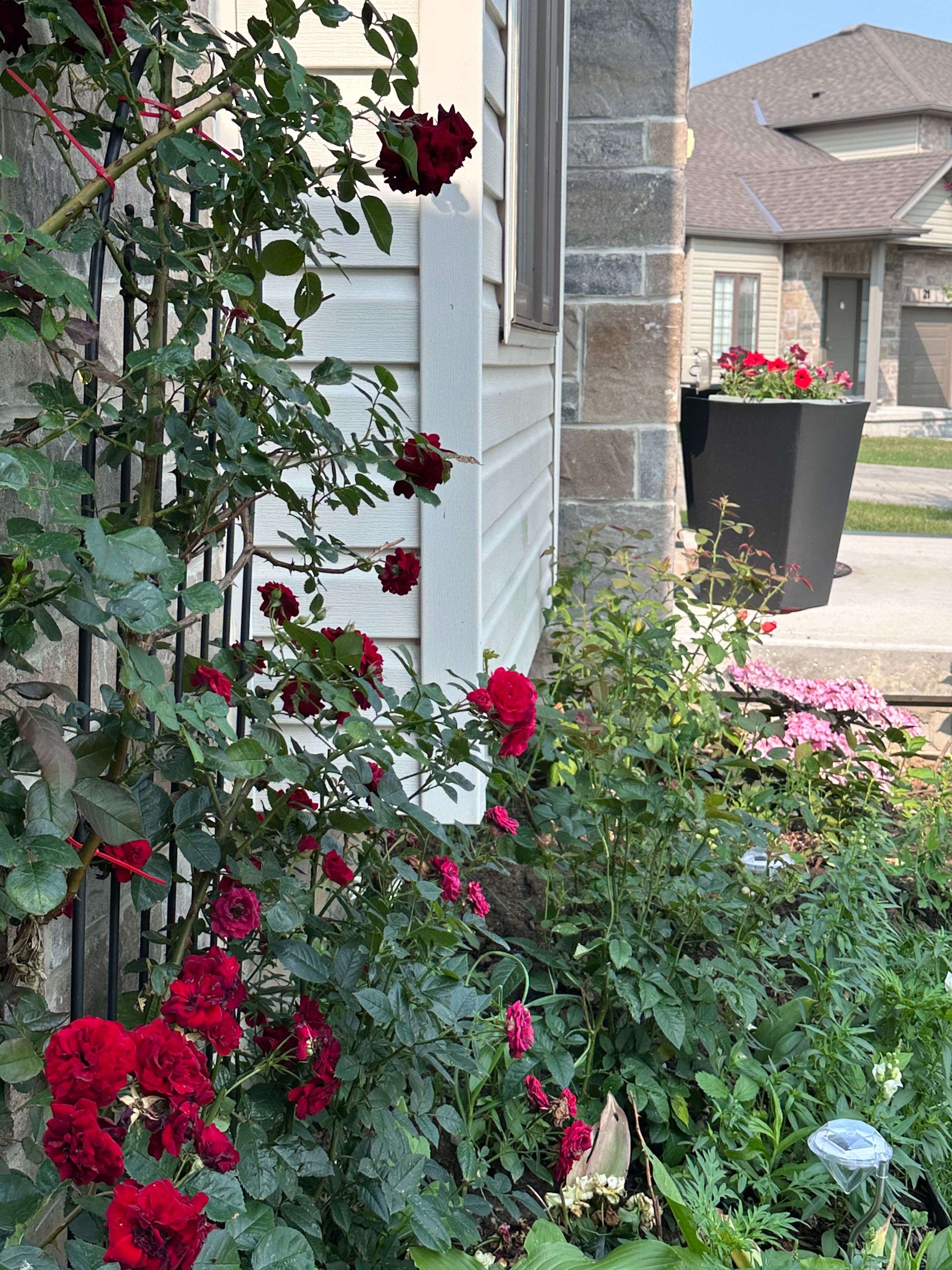London North, ON N6G 5B4,2910 TOKALA TRL #15