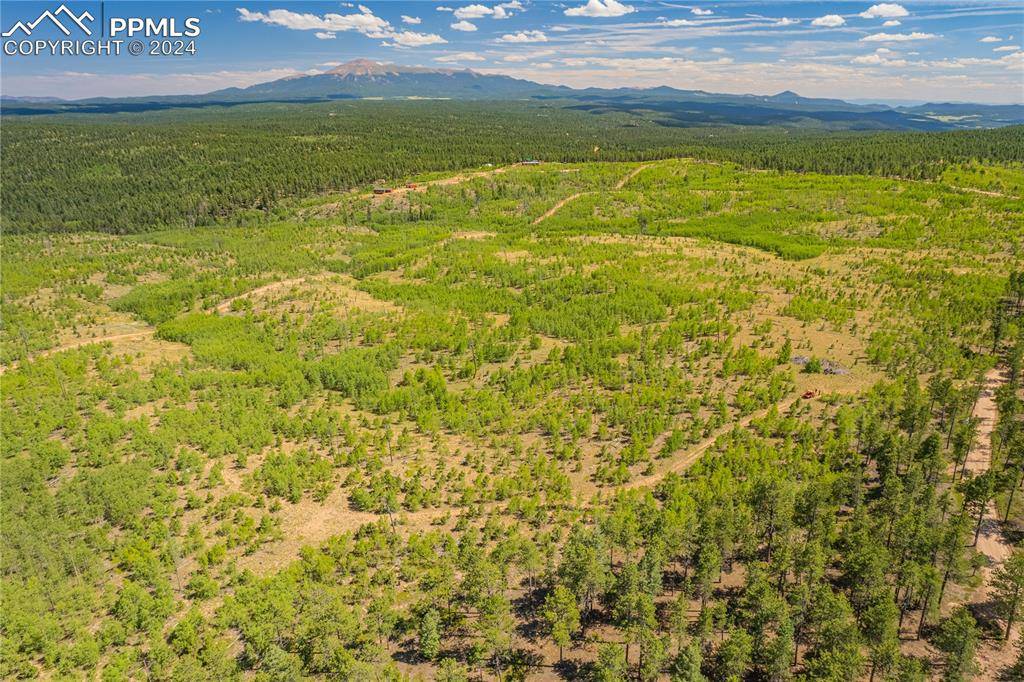 Florissant, CO 80816,Unit 3 County Road 51