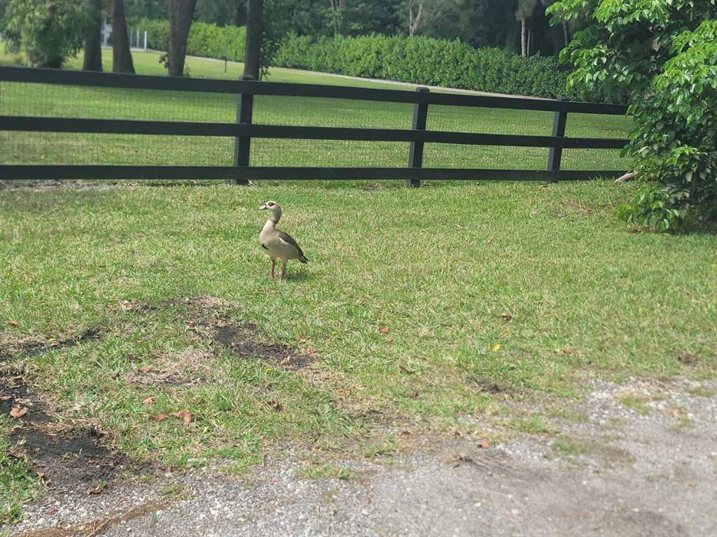 Southwest Ranches, FL 33331,0 SW 58th St