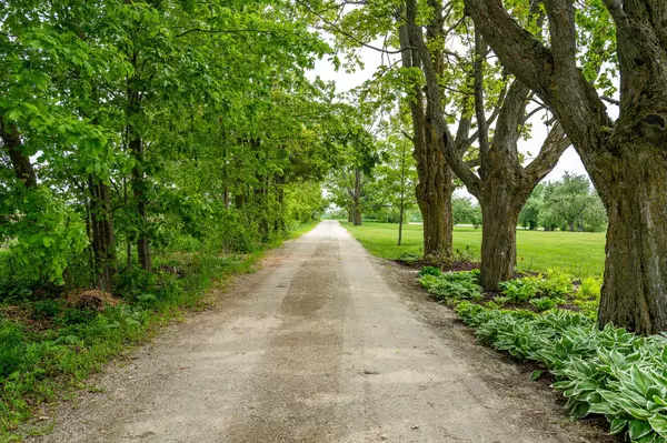 Clearview, ON L0M 1G0,2566 5 Concession N/A S