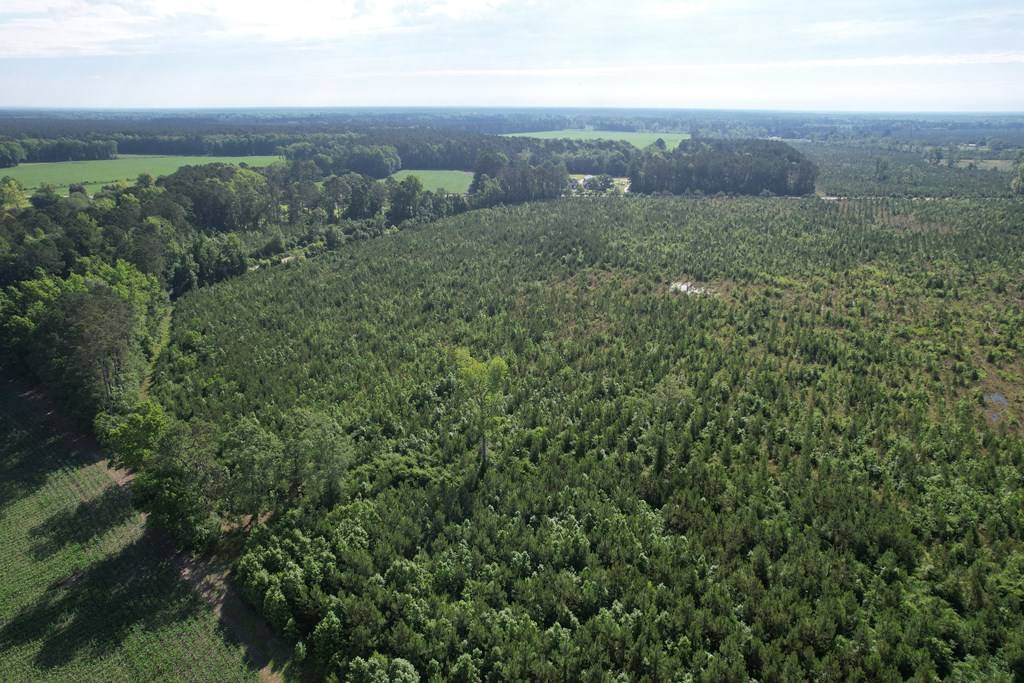 Manning, SC 29102,20Ac-TBD Highway 260