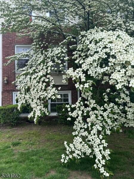 Elizabeth City, NJ 07208,800 N Broad St #17