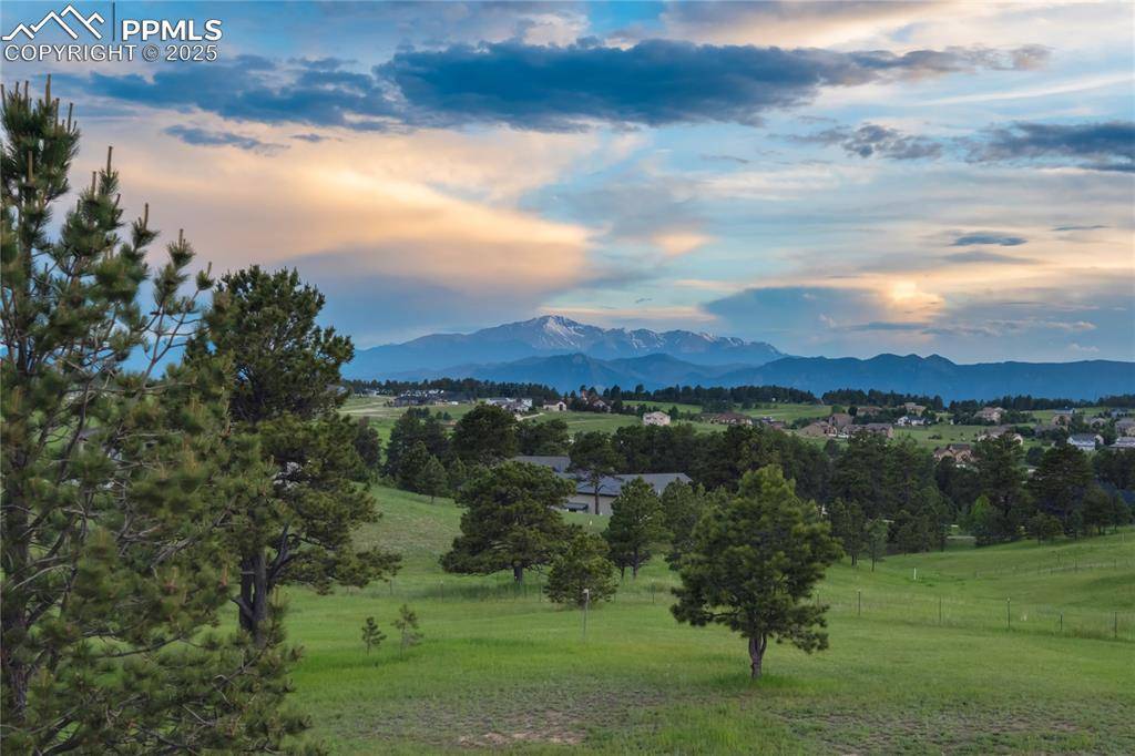 Colorado Springs, CO 80908,17160 Timber Meadow DR