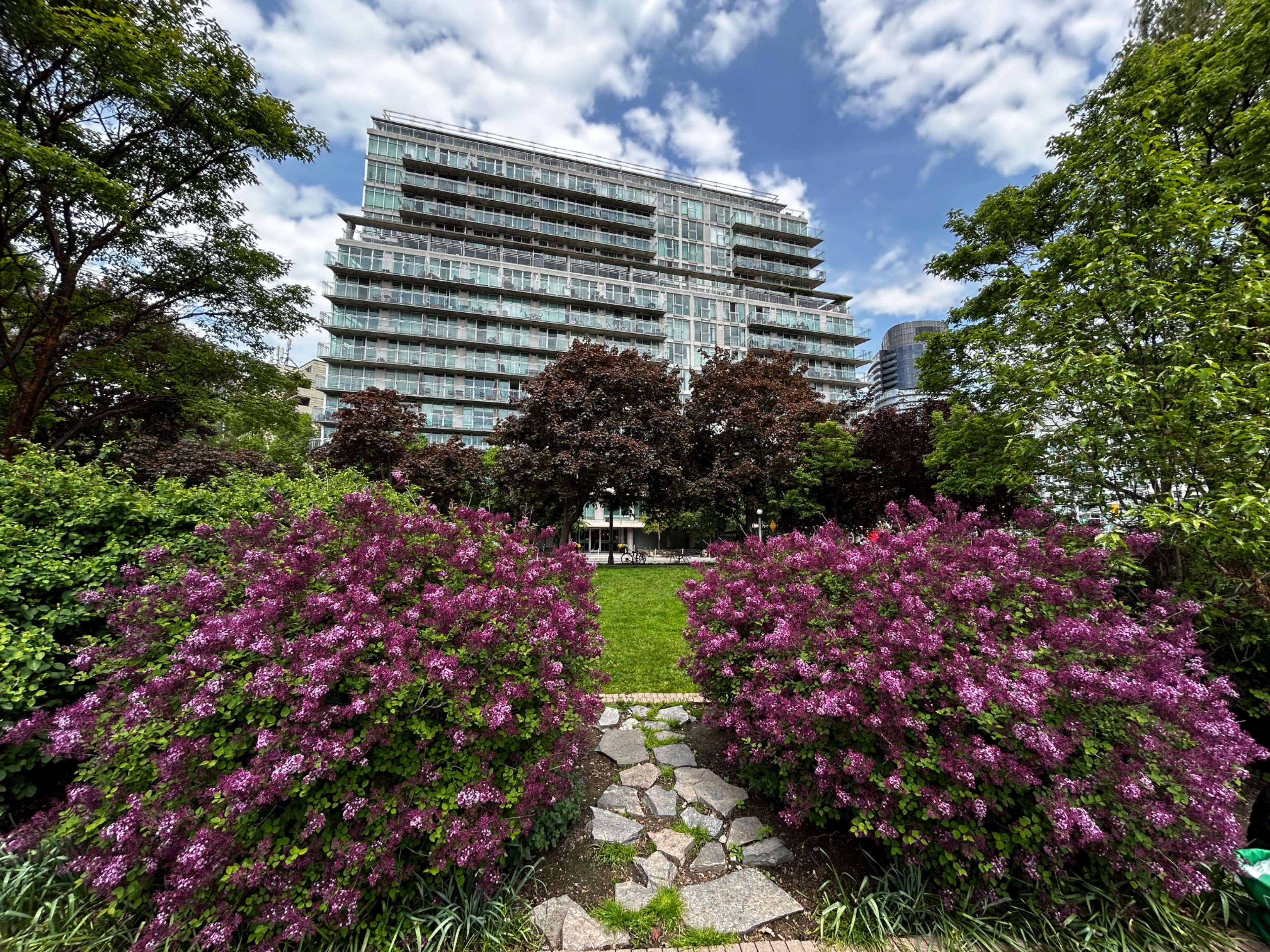 Toronto C01, ON M5V 3N2,650 Queens Quay W #509