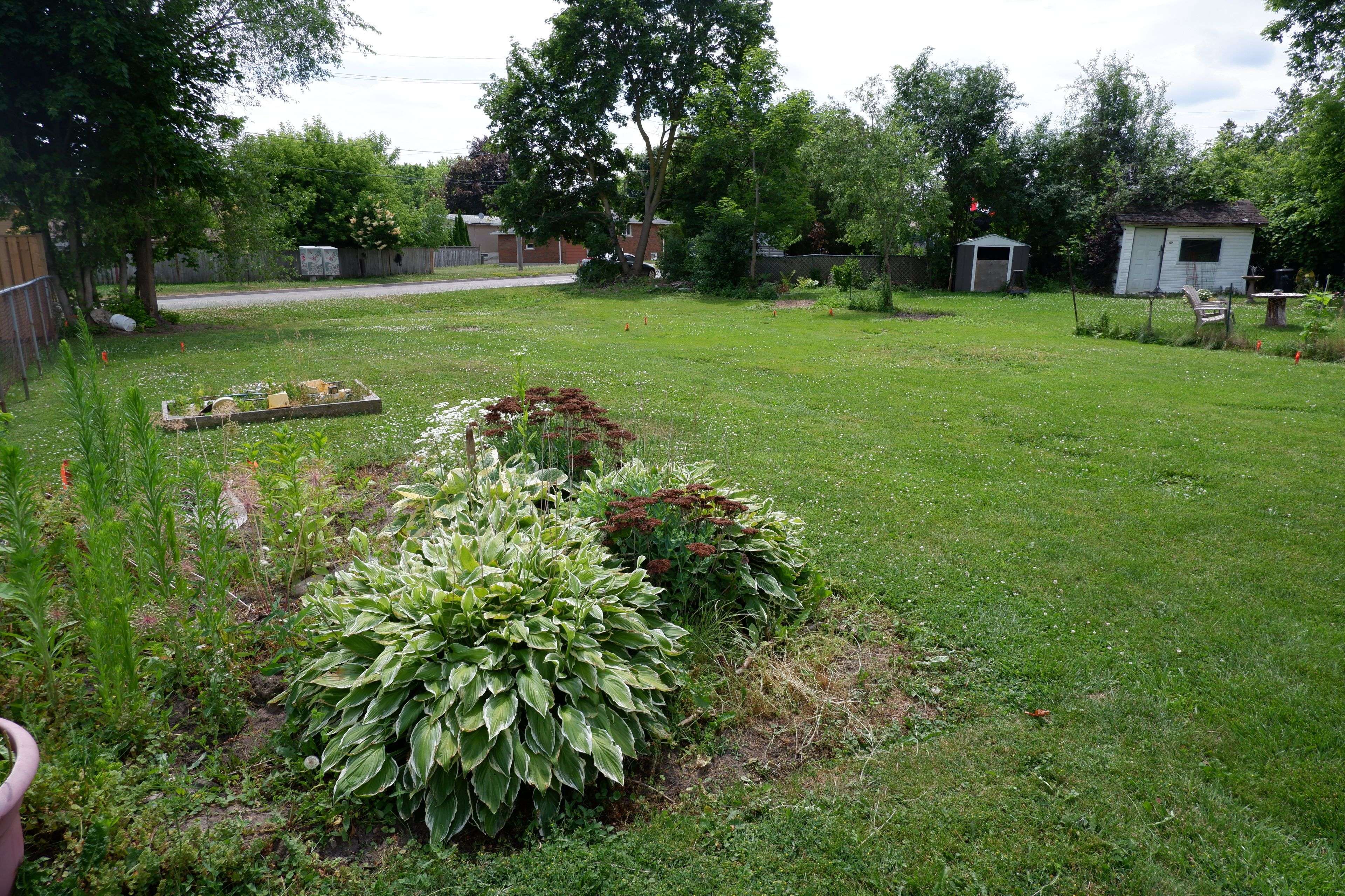 Halton Hills, ON L7G 1V9,40 Edward ST