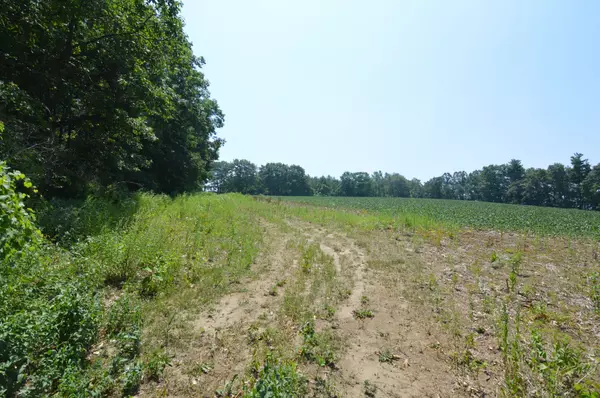Alnwick/haldimand, ON K0K 2X0,0 Browns/George - Vacant Lot RD