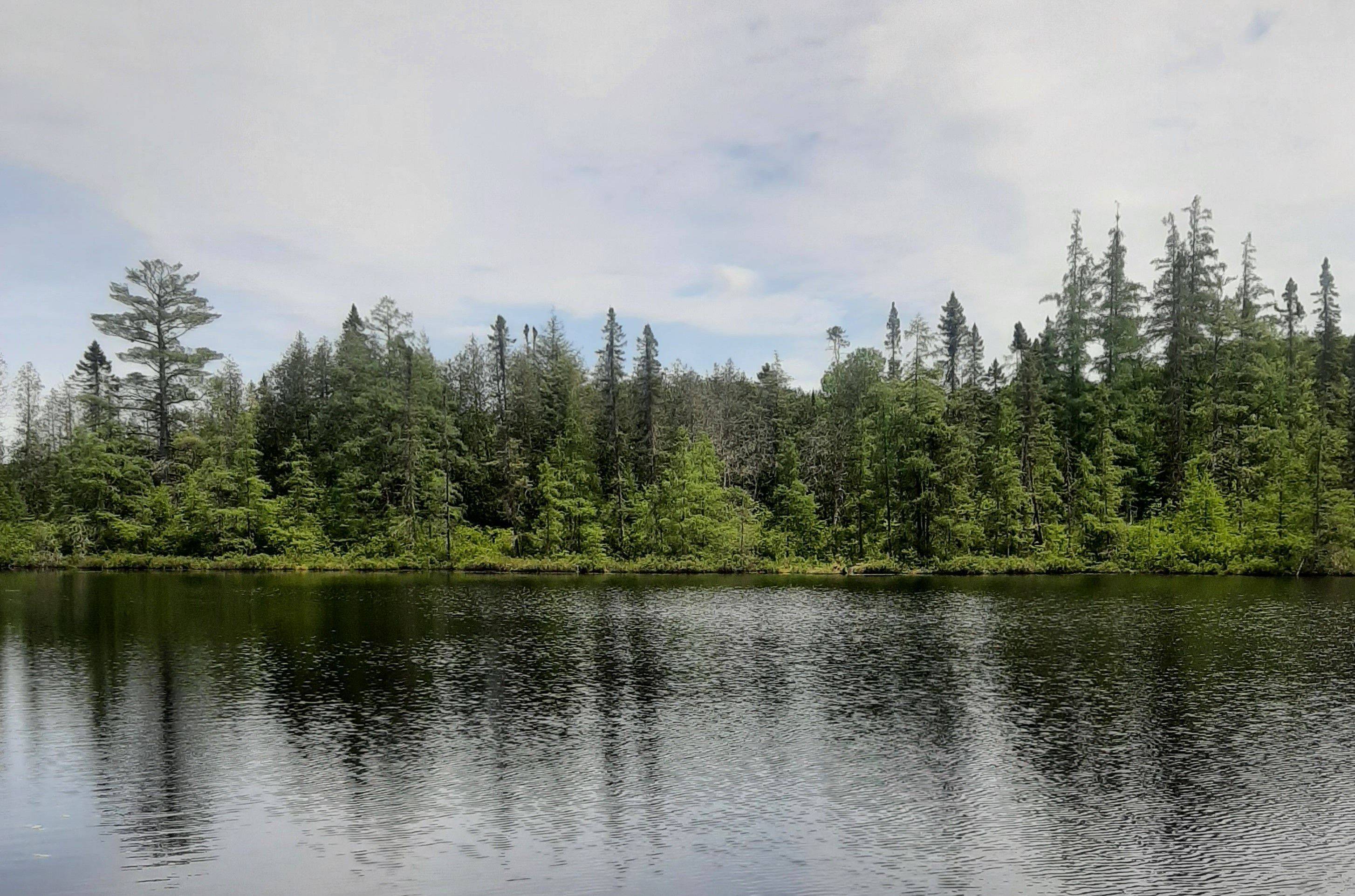 Minden Hills, ON K0M 2K0,0 Bobcaygeon RD