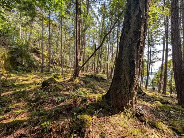Lot 108 Herring Hts, Mudge Island, BC V9X 1P7