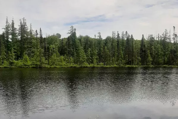 Minden Hills, ON K0M 2K0,0 Bobcaygeon RD