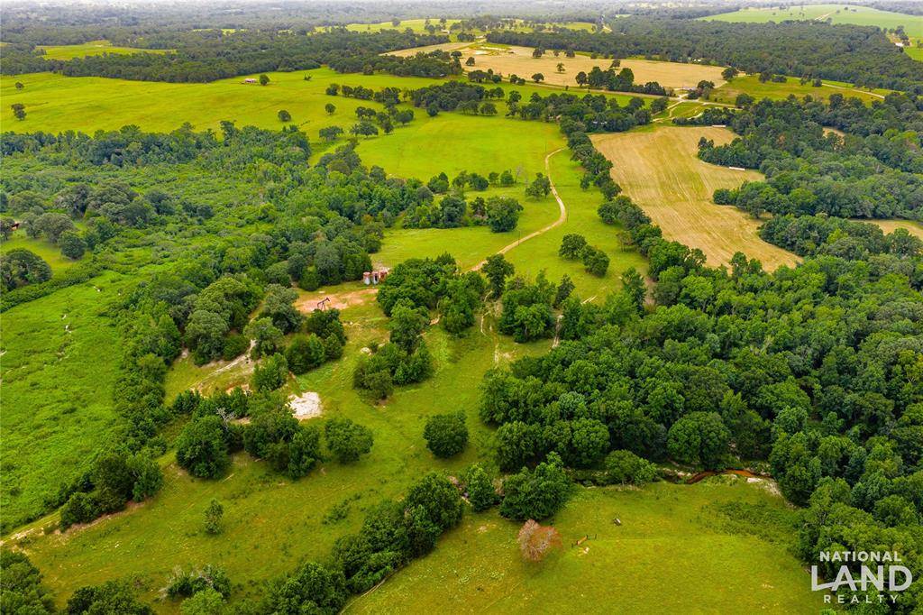 Palestine, TX 75803,000 An County Road 486
