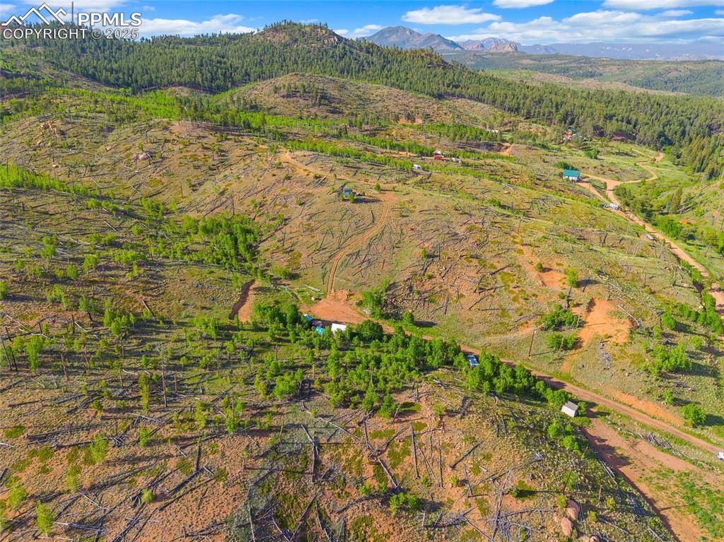 Florissant, CO 80816,77 Lakeview CIR