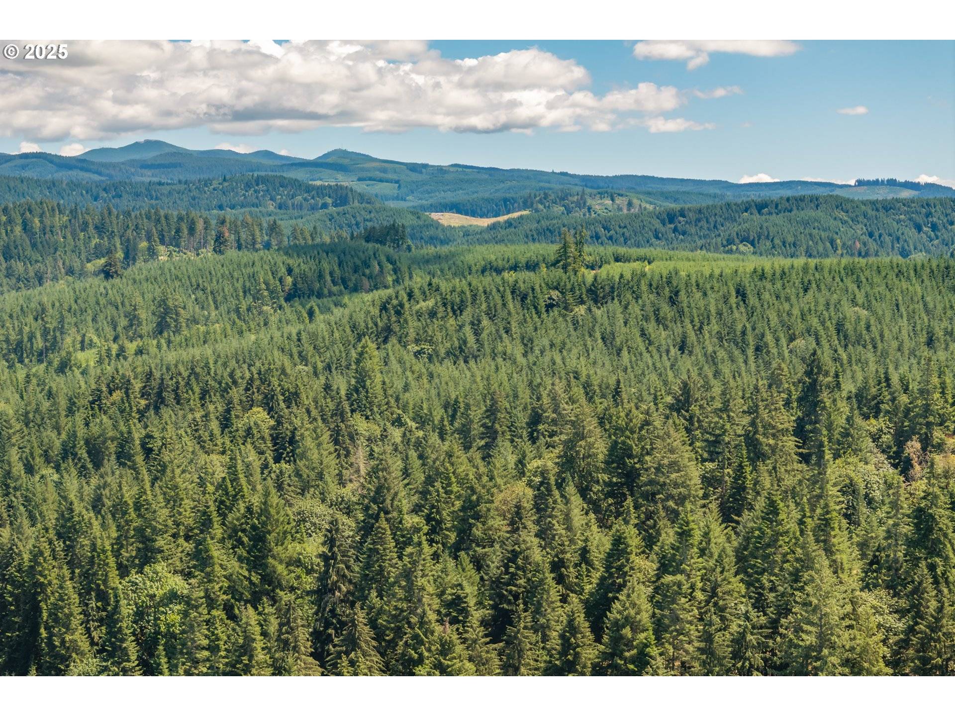 Lebanon, OR 97355,42051 CLARK SMITH DR