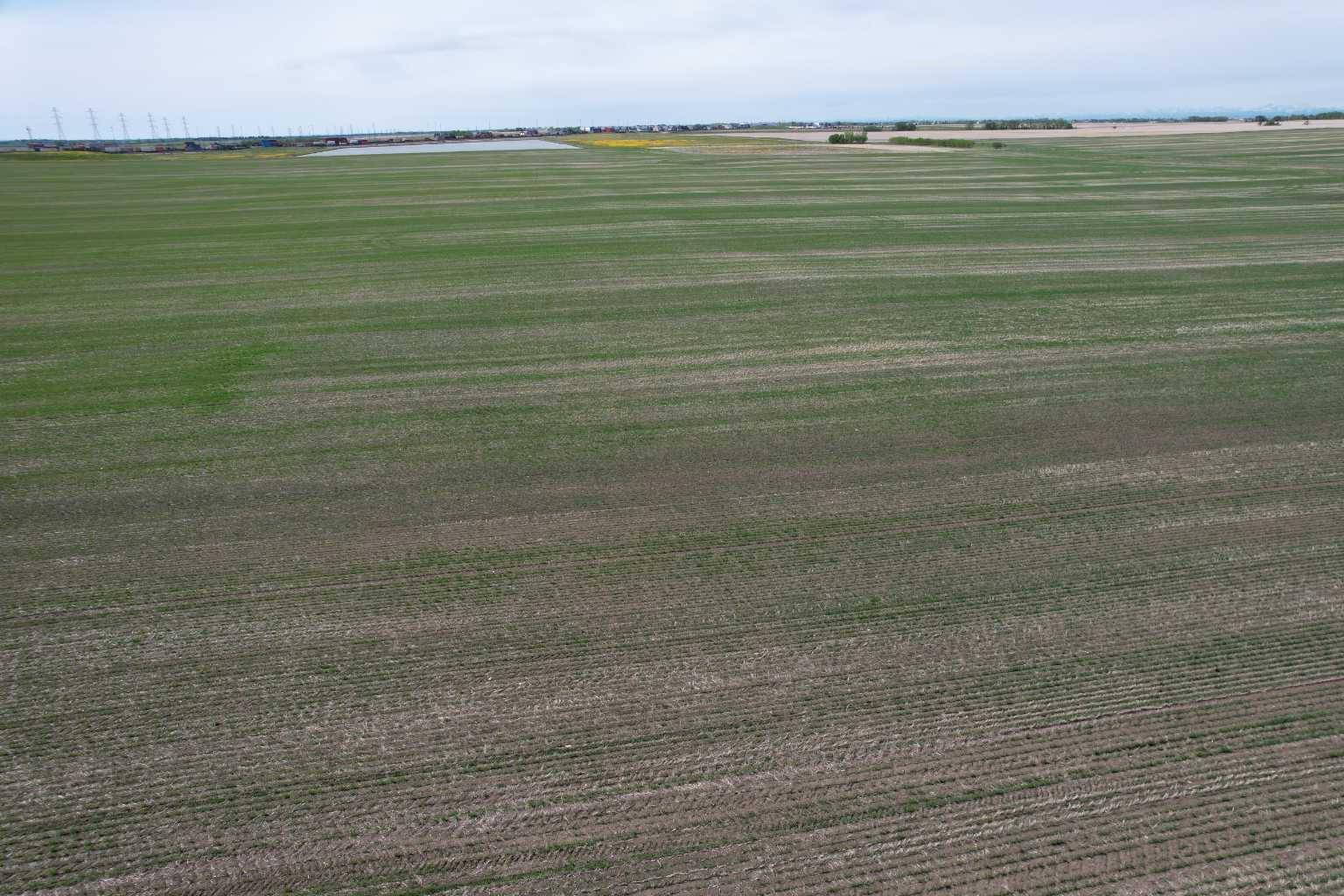 Rural Rocky View County, AB T2P 2G7,On TWP RD 252
