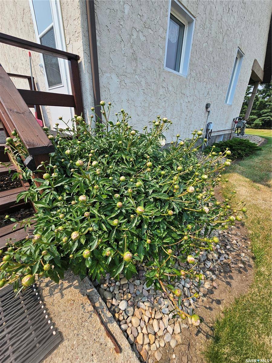 Grass Lake Rm No. 381, SK S0K 4L0,Rural Address