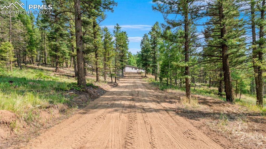 900 Beaver Creek DR, Florissant, CO 80816