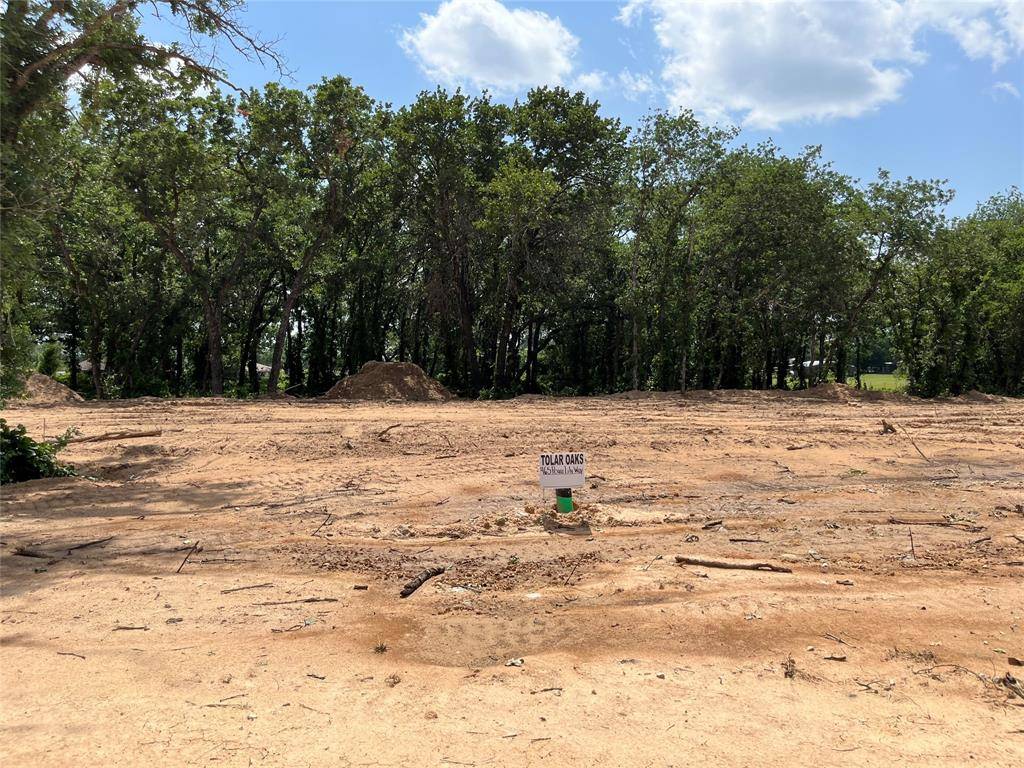 Tolar, TX 76476,465 Peace Lily Way