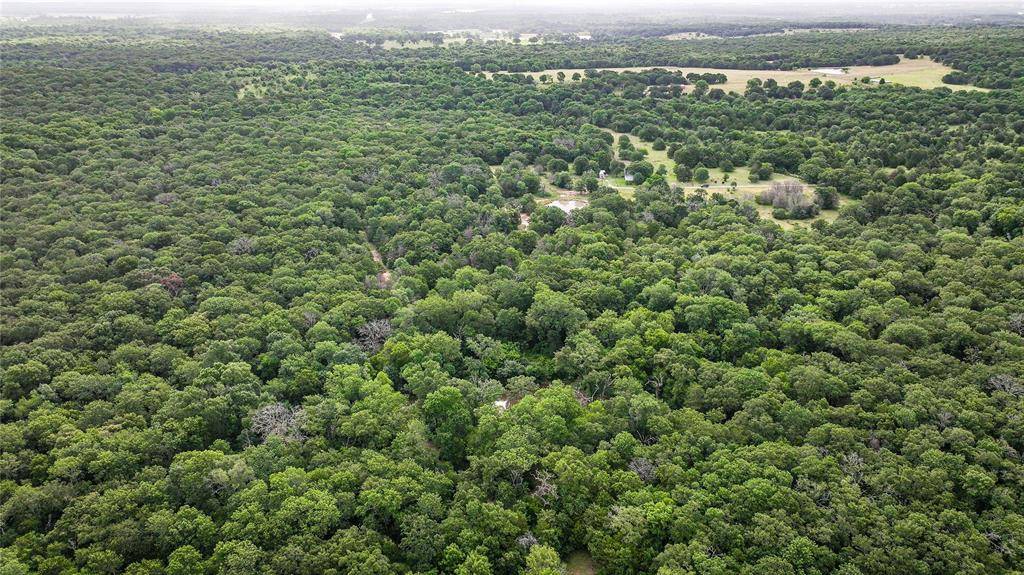 Kerens, TX 75144,12375 NE CR 3120
