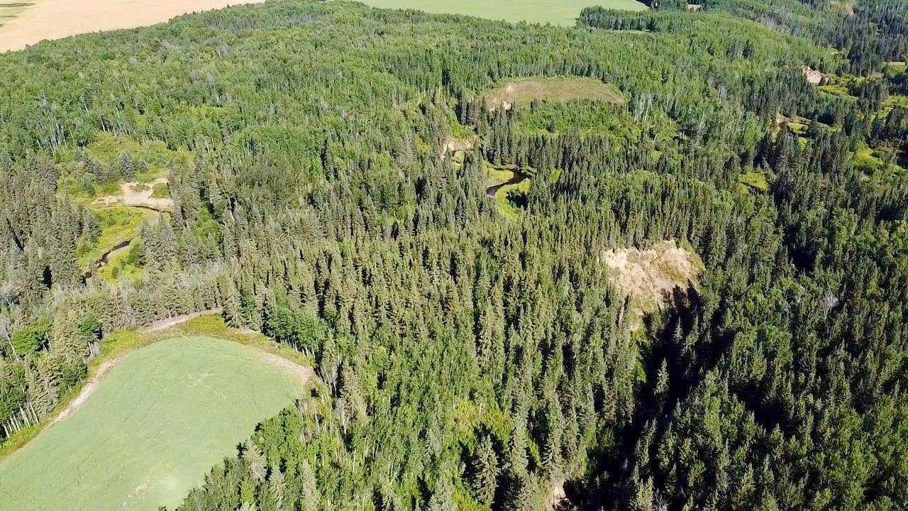 Rural Athabasca County, AB T9S 2A4,Range Road 225 Canyon Road