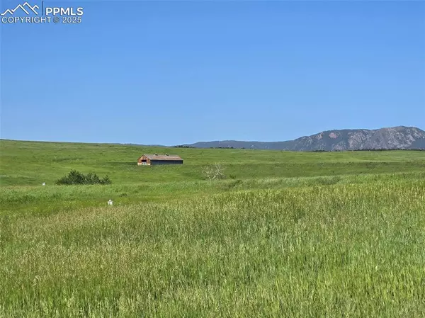 Monument, CO 80132,1317 Montcombe DR